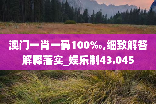 澳门一肖一码100‰,细致解答解释落实_娱乐制43.045