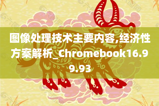 图像处理技术主要内容,经济性方案解析_Chromebook16.99.93