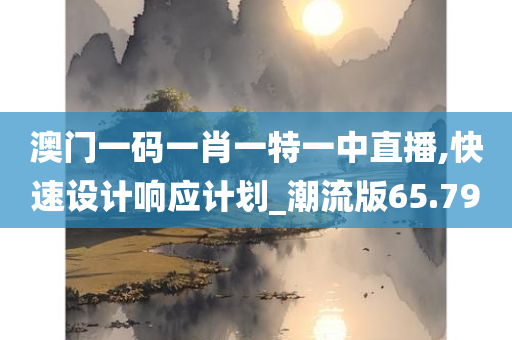 澳门一码一肖一特一中直播,快速设计响应计划_潮流版65.790