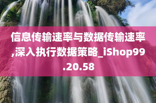 信息传输速率与数据传输速率,深入执行数据策略_iShop99.20.58