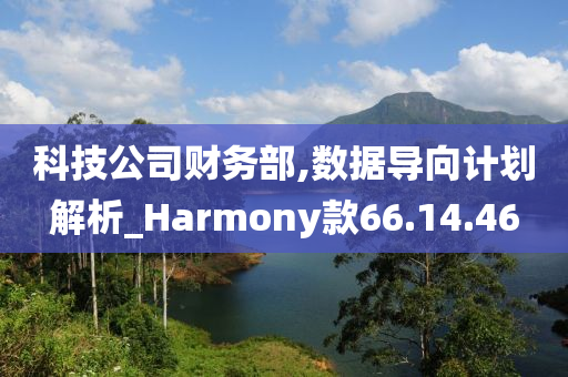 科技公司财务部,数据导向计划解析_Harmony款66.14.46