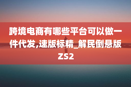 跨境电商有哪些平台可以做一件代发,速版标精_解民倒悬版ZS2