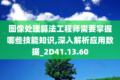 图像处理算法工程师需要掌握哪些技能知识,深入解析应用数据_2D41.13.60