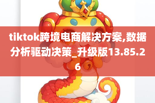 tiktok跨境电商解决方案,数据分析驱动决策_升级版13.85.26