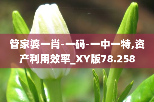 管家婆一肖-一码-一中一特,资产利用效率_XY版78.258