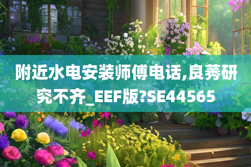 附近水电安装师傅电话,良莠研究不齐_EEF版?SE44565