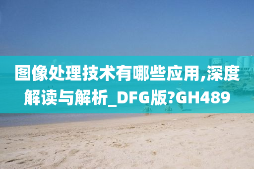 图像处理技术有哪些应用,深度解读与解析_DFG版?GH489