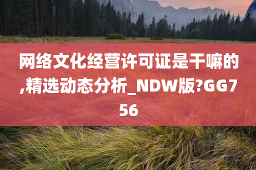 网络文化经营许可证是干嘛的,精选动态分析_NDW版?GG756