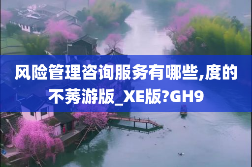 风险管理咨询服务有哪些,度的不莠游版_XE版?GH9