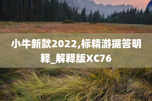 小牛新款2022,标精游据答明释_解释版XC76