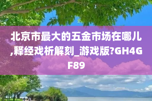 北京市最大的五金市场在哪儿,释经戏析解刻_游戏版?GH4GF89