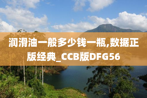 润滑油一般多少钱一瓶,数据正版经典_CCB版DFG56