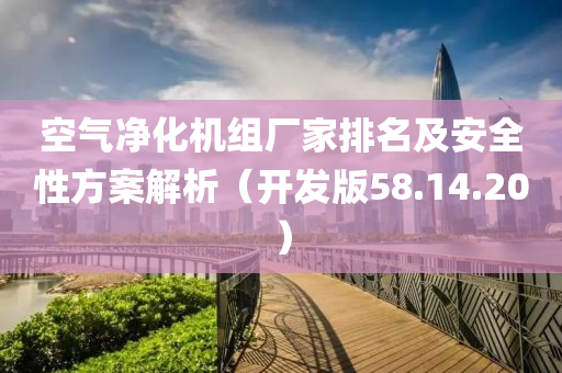 空气净化机组厂家排名及安全性方案解析（开发版58.14.20）