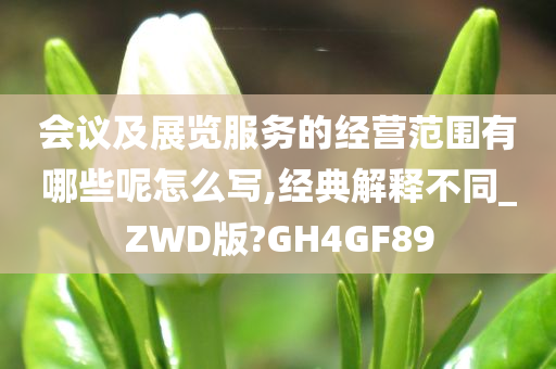 会议及展览服务的经营范围有哪些呢怎么写,经典解释不同_ZWD版?GH4GF89