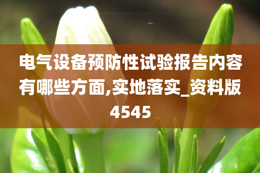 电气设备预防性试验报告内容有哪些方面,实地落实_资料版4545