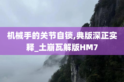 机械手的关节自锁,典版深正实释_土崩瓦解版HM7