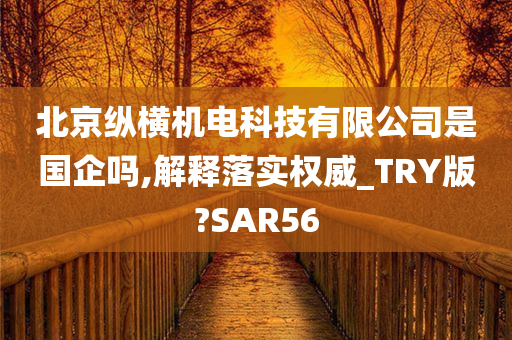 北京纵横机电科技有限公司是国企吗,解释落实权威_TRY版?SAR56