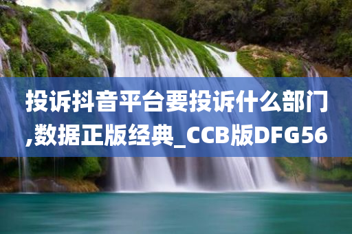 投诉抖音平台要投诉什么部门,数据正版经典_CCB版DFG56