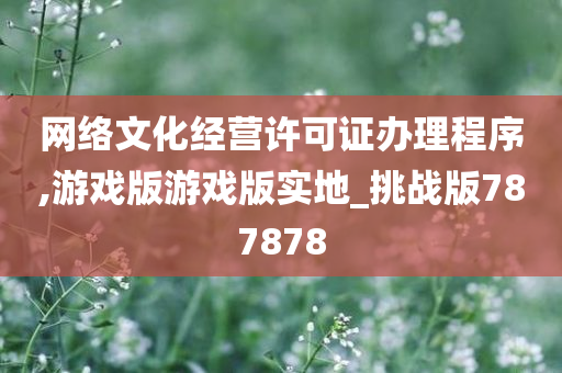 网络文化经营许可证办理程序,游戏版游戏版实地_挑战版787878