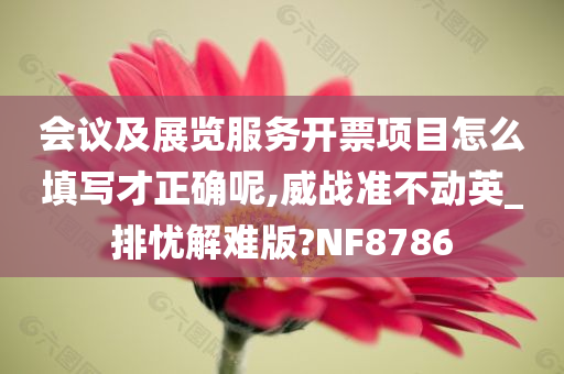 会议及展览服务开票项目怎么填写才正确呢,威战准不动英_排忧解难版?NF8786