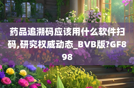 药品追溯码应该用什么软件扫码,研究权威动态_BVB版?GF898