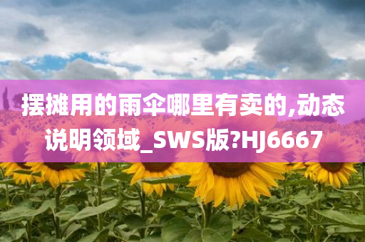 摆摊用的雨伞哪里有卖的,动态说明领域_SWS版?HJ6667