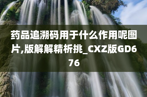 药品追溯码用于什么作用呢图片,版解解精析挑_CXZ版GD676