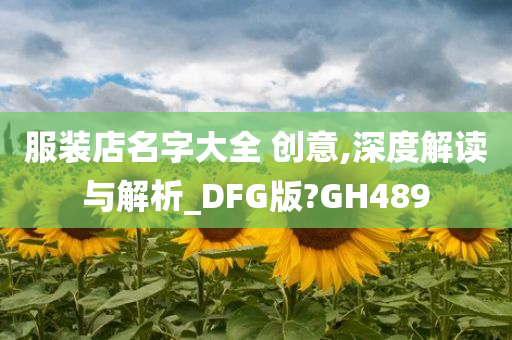 服装店名字大全 创意,深度解读与解析_DFG版?GH489