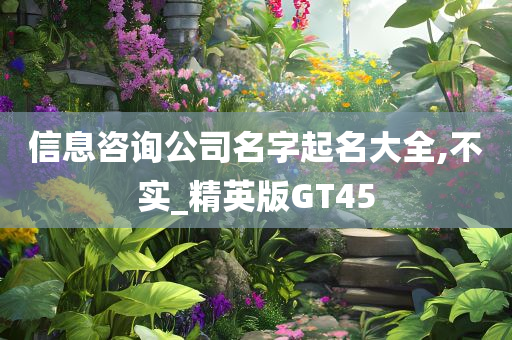 信息咨询公司名字起名大全,不实_精英版GT45