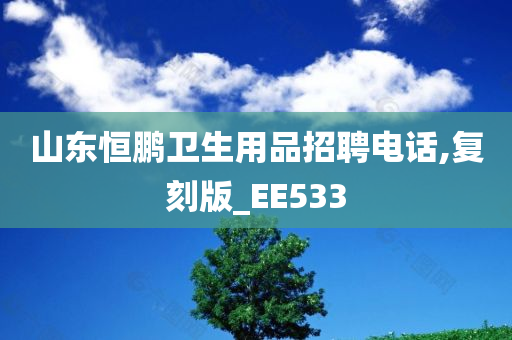 山东恒鹏卫生用品招聘电话,复刻版_EE533