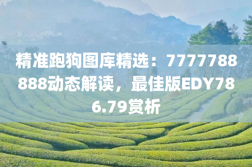 精准跑狗图库精选：7777788888动态解读，最佳版EDY786.79赏析