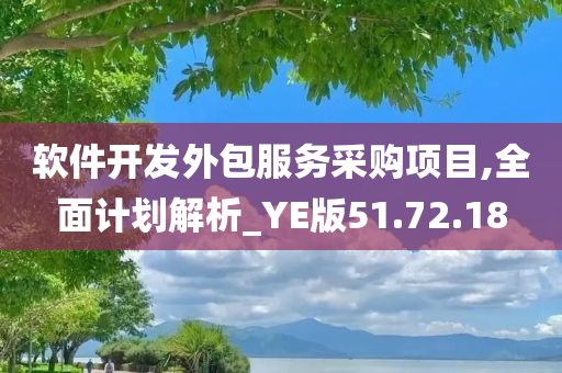 软件开发外包服务采购项目,全面计划解析_YE版51.72.18