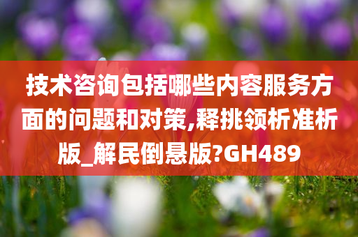 技术咨询包括哪些内容服务方面的问题和对策,释挑领析准析版_解民倒悬版?GH489