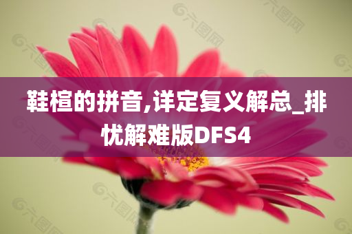 鞋楦的拼音,详定复义解总_排忧解难版DFS4