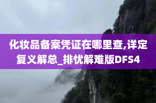 化妆品备案凭证在哪里查,详定复义解总_排忧解难版DFS4