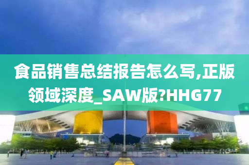 食品销售总结报告怎么写,正版领域深度_SAW版?HHG77