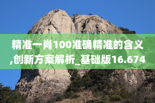 精准一肖100准确精准的含义,创新方案解析_基础版16.674