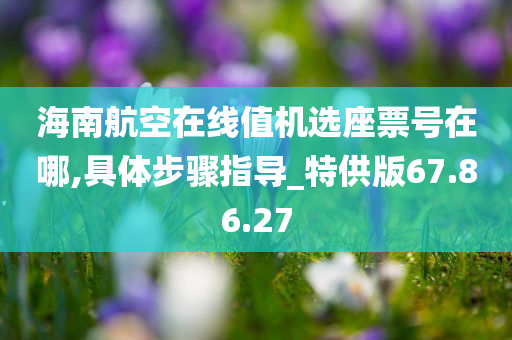 海南航空在线值机选座票号在哪,具体步骤指导_特供版67.86.27