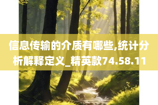 信息传输的介质有哪些,统计分析解释定义_精英款74.58.11