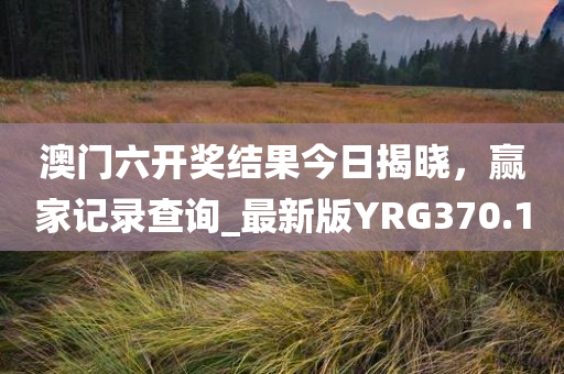 澳门六开奖结果今日揭晓，赢家记录查询_最新版YRG370.1