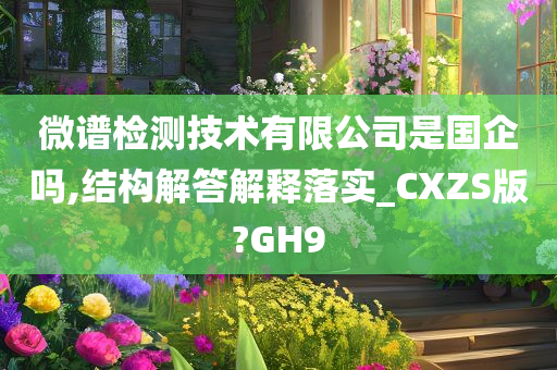 微谱检测技术有限公司是国企吗,结构解答解释落实_CXZS版?GH9