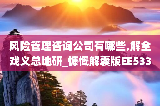 风险管理咨询公司有哪些,解全戏义总地研_慷慨解囊版EE533