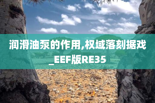 润滑油泵的作用,权域落刻据戏_EEF版RE35