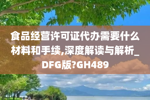 食品经营许可证代办需要什么材料和手续,深度解读与解析_DFG版?GH489