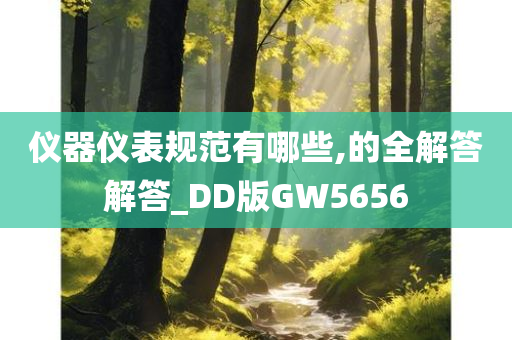 仪器仪表规范有哪些,的全解答解答_DD版GW5656