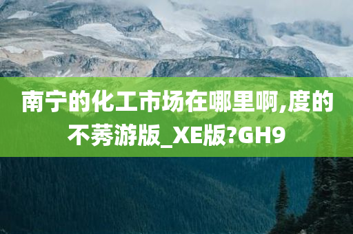 南宁的化工市场在哪里啊,度的不莠游版_XE版?GH9