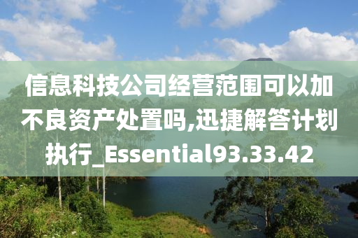 信息科技公司经营范围可以加不良资产处置吗,迅捷解答计划执行_Essential93.33.42