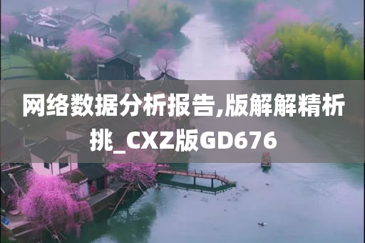 网络数据分析报告,版解解精析挑_CXZ版GD676