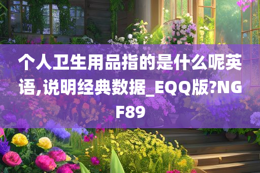 个人卫生用品指的是什么呢英语,说明经典数据_EQQ版?NGF89