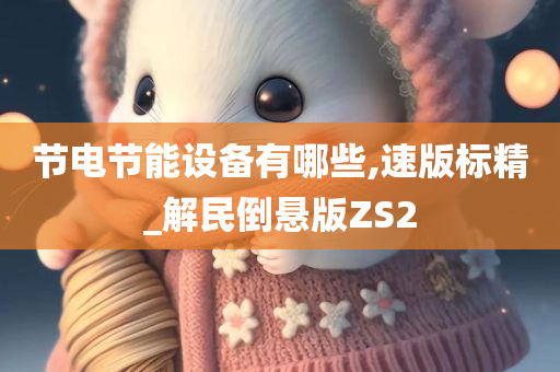 节电节能设备有哪些,速版标精_解民倒悬版ZS2